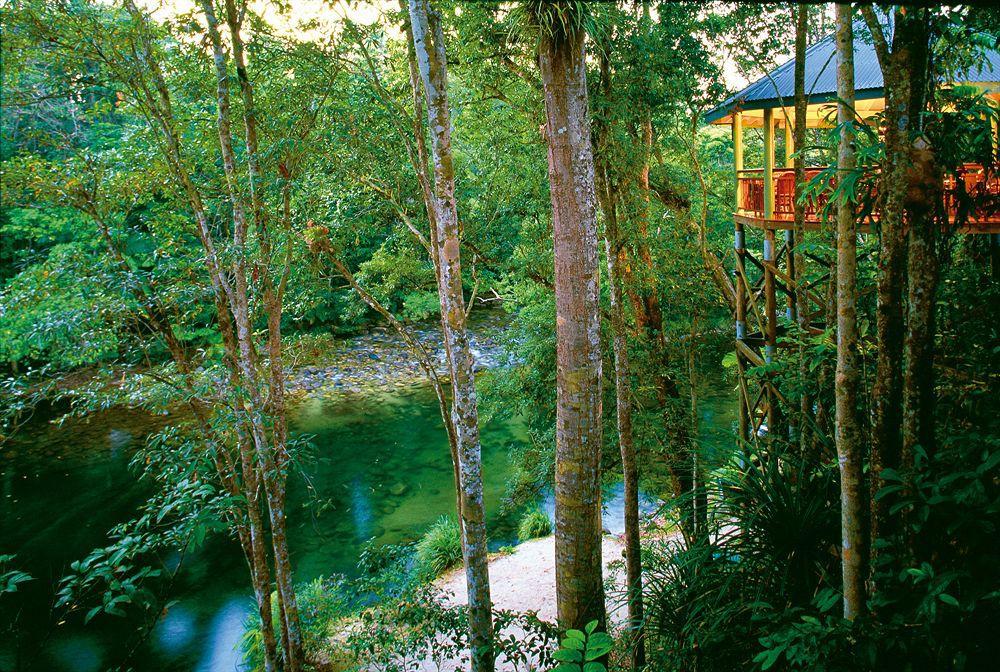 Silky Oaks Lodge Mossman Dış mekan fotoğraf