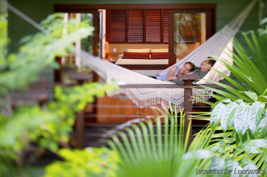 Silky Oaks Lodge Mossman Dış mekan fotoğraf