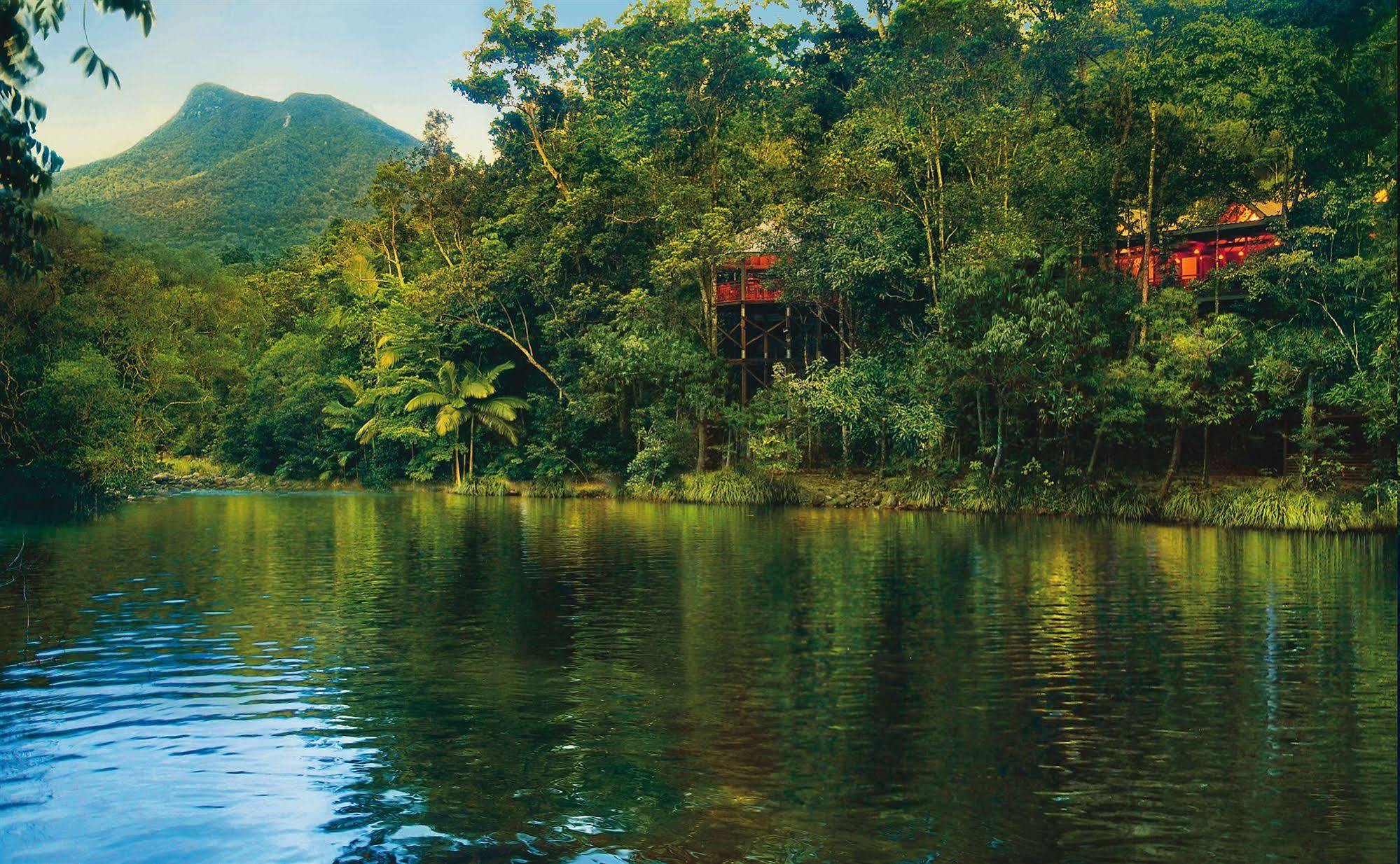 Silky Oaks Lodge Mossman Dış mekan fotoğraf